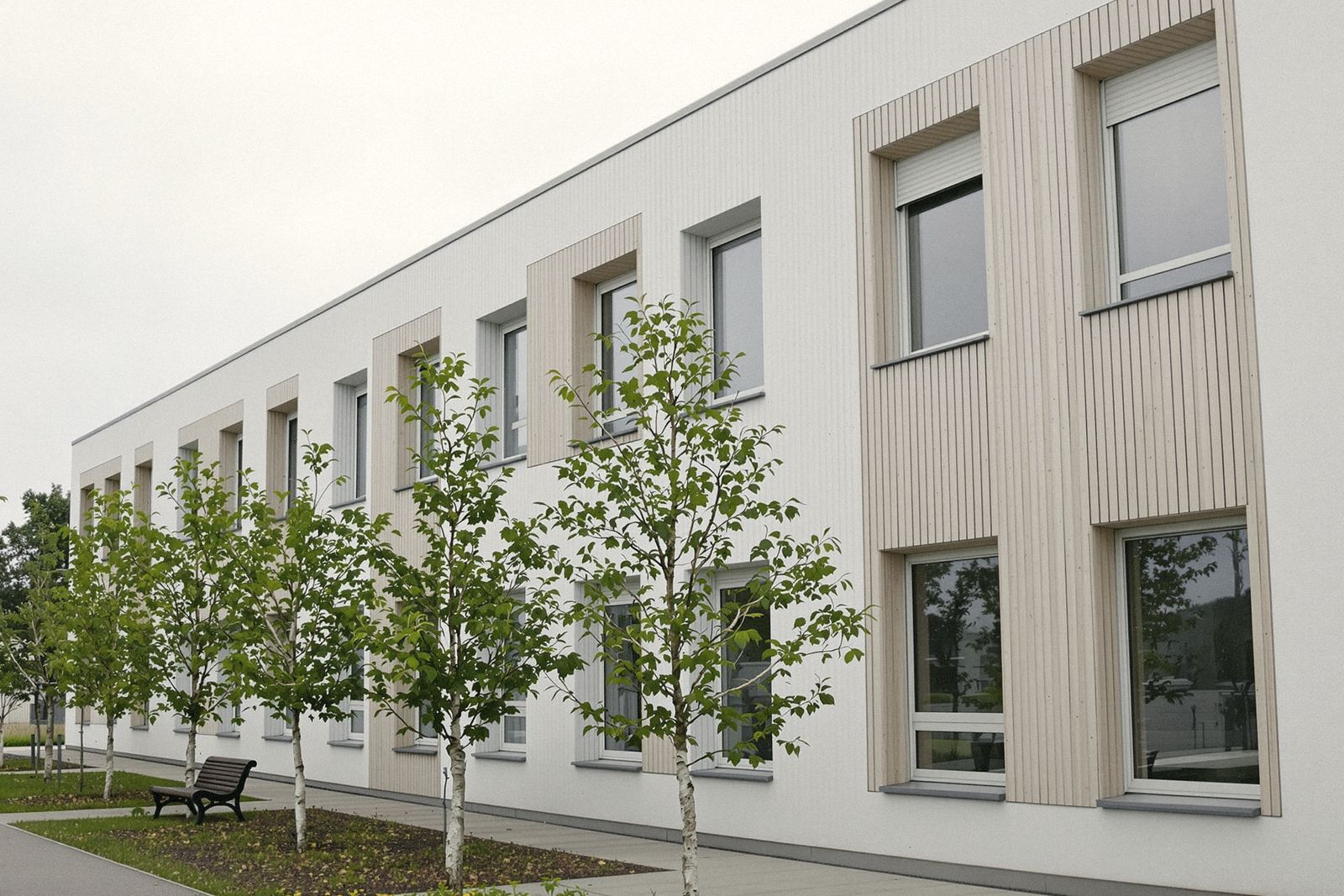 Façade d'un bâtiment de santé récent en enduit blanc et bardage bois, bordée de jeunes bouleaux